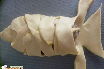 Шаг 2: И фарша сформировать котлету, обвалять …