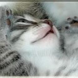 Аватар пользователя Алюшка