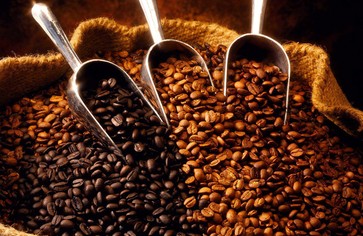 Арабика и Робуста - в чем разница?