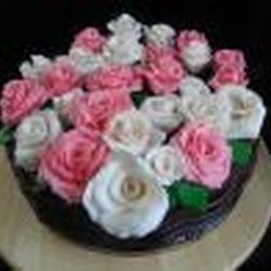 Аватар пользователя Turkana