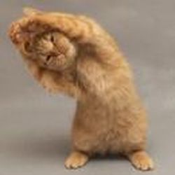 Аватар пользователя Прасковья