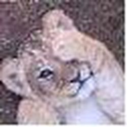 Аватар пользователя lol27