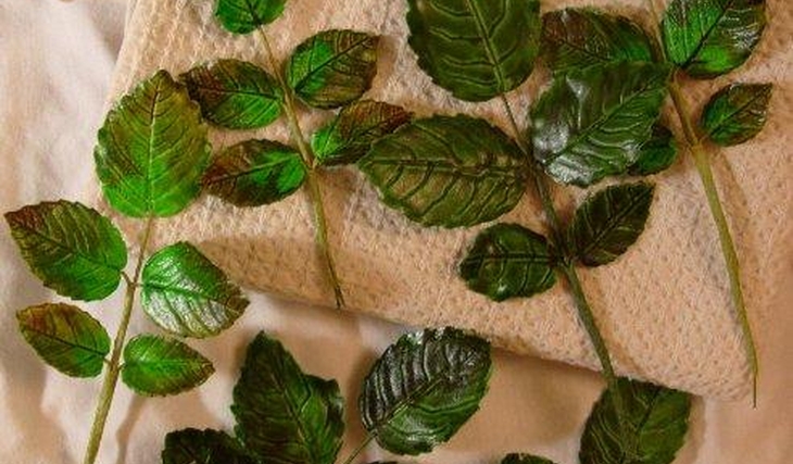 МК Листья розы на проволоке от Учредительница