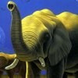 Аватар пользователя Bigelephant