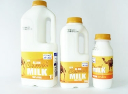 Статья: Верблюжье молоко - скоро на полках супермаркетов!