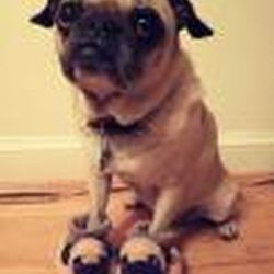 Аватар пользователя Мумуля