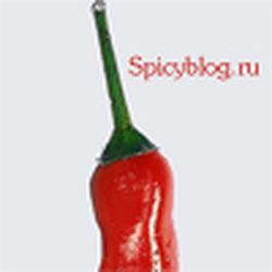 Аватар пользователя spicy_blog