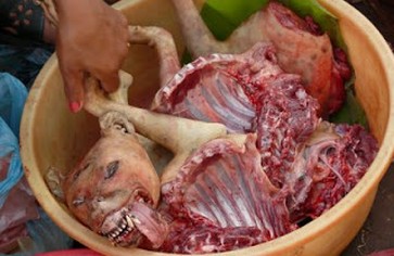 Статья: Любитель полакомиться собачатиной приговорен к 3 годам лишения свободы