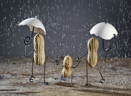 «Оживший» арахис