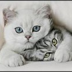 Аватар пользователя Наташуля