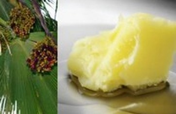 Все секреты пальмового масла