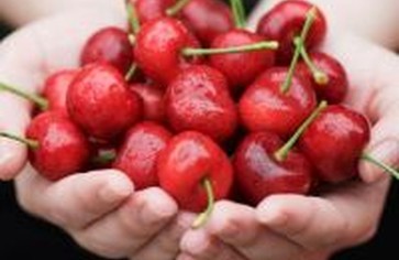 Боитесь приступов подагры?! Ешьте черешню!!!