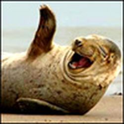 Аватар пользователя Valedielya