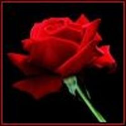 Аватар пользователя Sladko