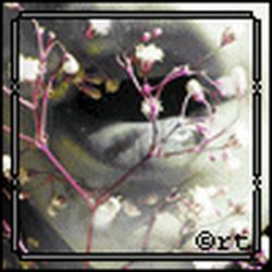 Аватар пользователя Катюнчик26