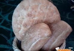 Тесто для домашнего хлеба