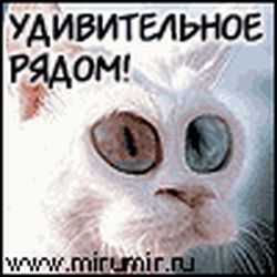 Аватар пользователя каринесска