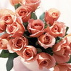 Аватар пользователя Anya