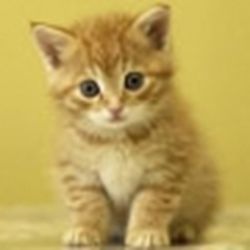 Аватар пользователя yak2013