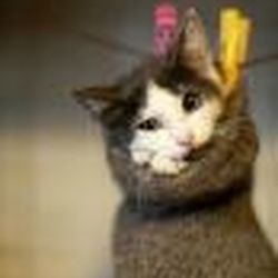 Аватар пользователя Irynia14