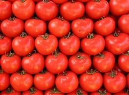 Статья: 10 интересных фактов о томате