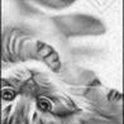 Аватар пользователя Светлячок1