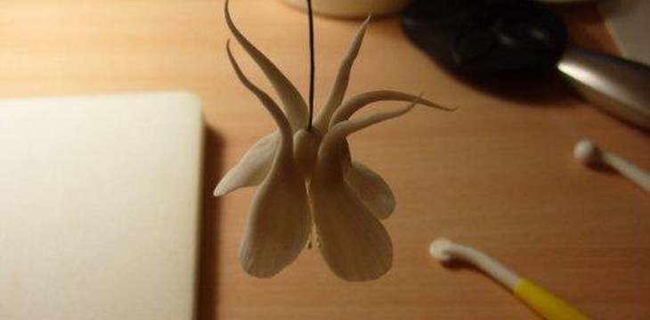 Шаг №17 МК Аквилегия от Учредительница