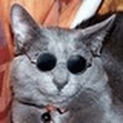 Аватар пользователя dexbatifra