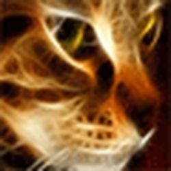 Аватар пользователя zelenajavolna