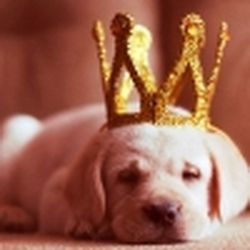 Аватар пользователя gubarenok84