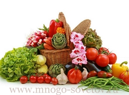 Статья: 17 продуктов, которые борются против рака молочной железы