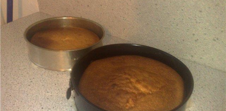 Шаг №1 Торт "В замке Снежной королевы" от darya1987