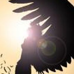 Аватар пользователя Filomin