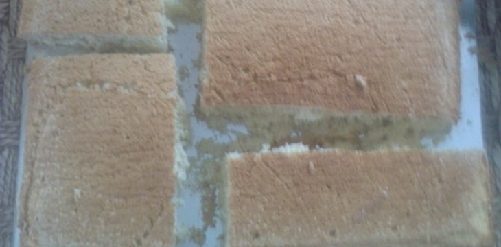 Шаг №2 МК МК Торт Динозавр от alizka