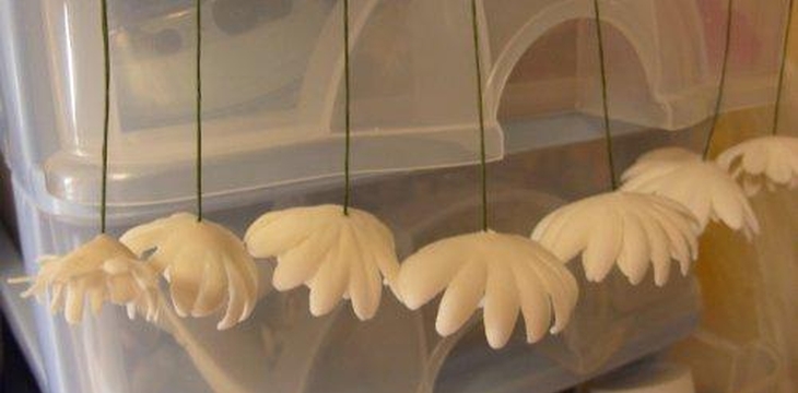 Шаг №11 МК Хризантемы от Учредительница