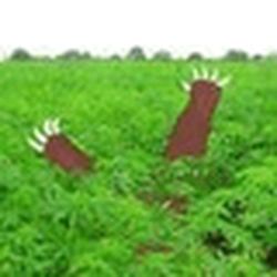 Аватар пользователя thistferliatram