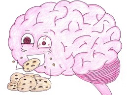 Питательная зарядка для мозгов