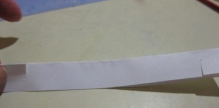 Шаг №9 МК Гвоздики от njura74