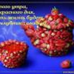 Аватар пользователя Брусничка 24