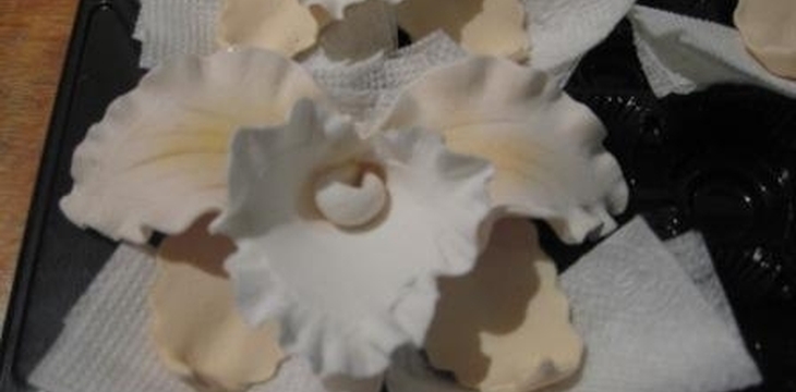 Шаг №13 МК Орхидеи от njura74