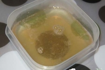 Шаг 8: Растапливаем в микроволновке или на …