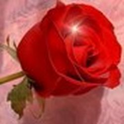 Аватар пользователя Юля Клюева