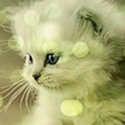 Аватар пользователя Elenaprozverova