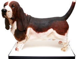 Статья: Бисквитный… песик, индейка, сэндвич?!