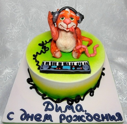 Фото «котик»