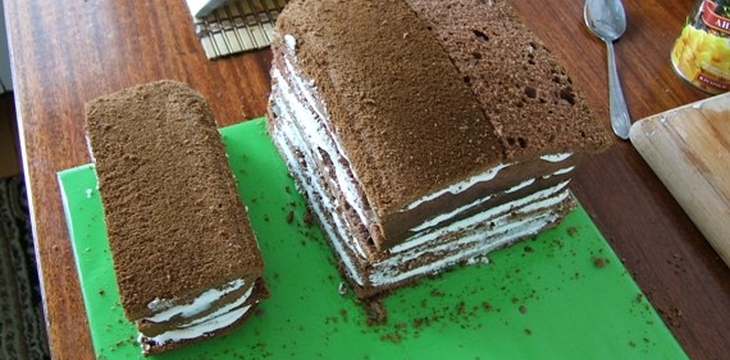 Шаг №3 МК Форма дома без обрезков от Linka