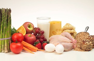 Статья: Лучший источник белка для вашего здоровья