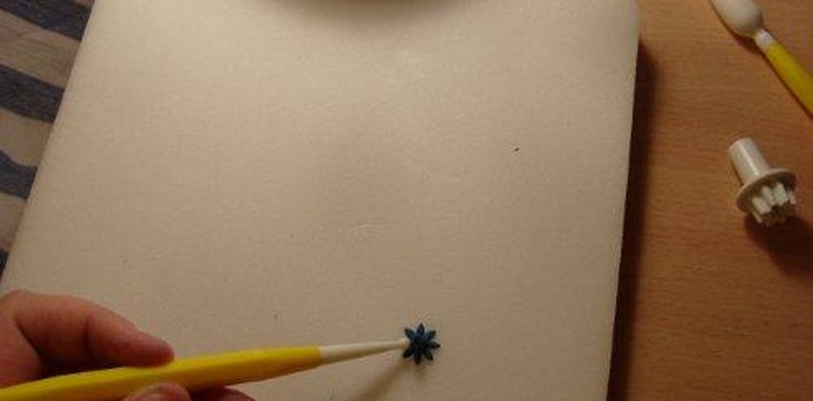 Шаг №12 МК Василёк от Учредительница