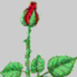 Аватар пользователя Kirr