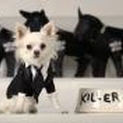 Аватар пользователя kuplion